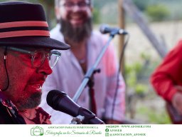 Festival Mar de Tethys 2026 - Bodega Vetas